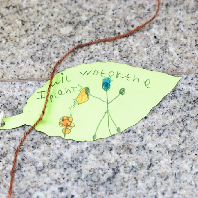 680654317_1493496592787692_8856831667978164393_n