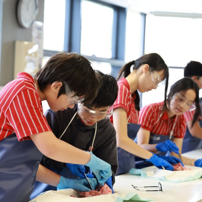 632220249_1427607449376607_7856715589697957715_n