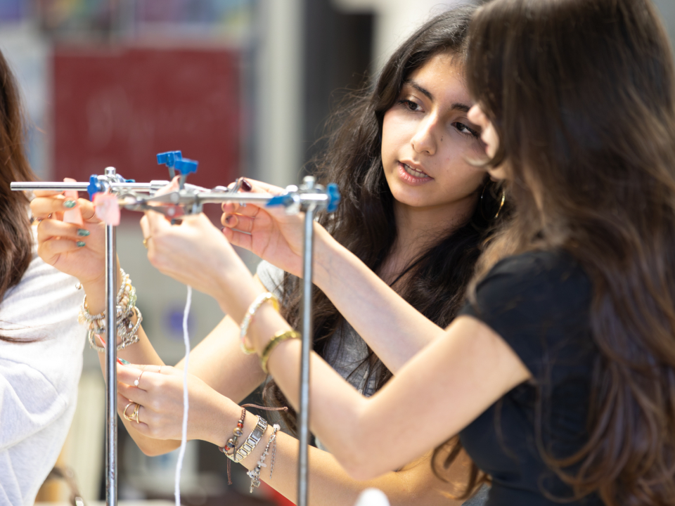Y13 Collaberative Science Project-04