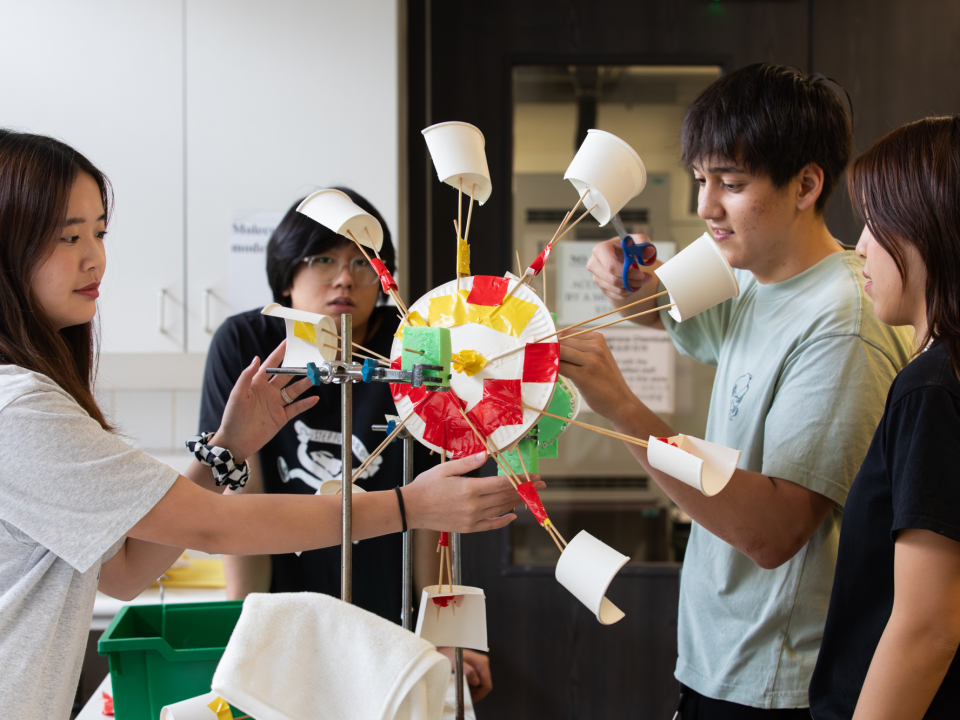 Y13 Collaberative Science Project-11
